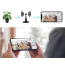 Ukryta kamera WiFI w kwiatku MKJH53