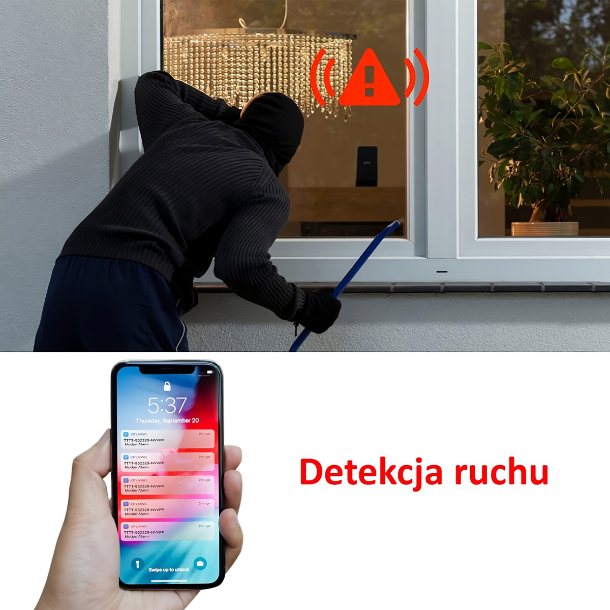 3875874366.thumbnail.png